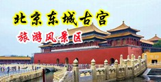 男生操女生鸡巴免费视频中国北京-东城古宫旅游风景区