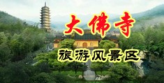 日逼欧美大鸡巴中国浙江-新昌大佛寺旅游风景区